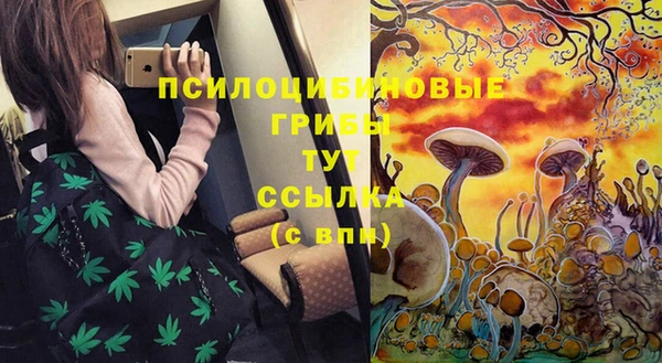 а пвп мука Надым