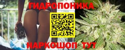 молекула духа Ливны