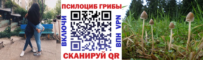 Галлюциногенные грибы мицелий  Тула 