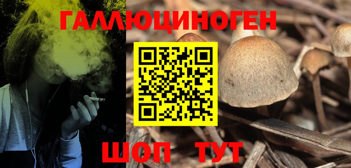 Галлюциногенные грибы мухоморы  Псилоцибиновые грибы Cubensis  Тула  Вход с VPN 