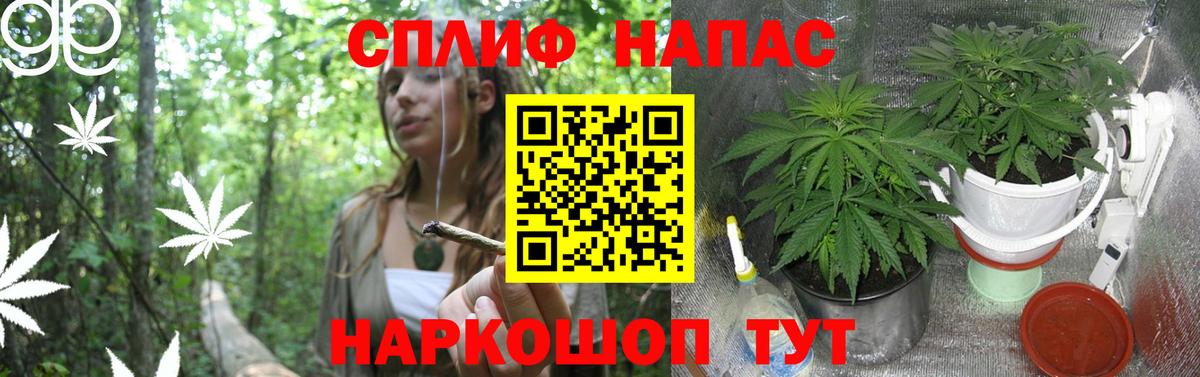 COCAIN  Тула  Меф МЯУ МЯУ   А ПВП СК   Гашиш  Вход с VPN 